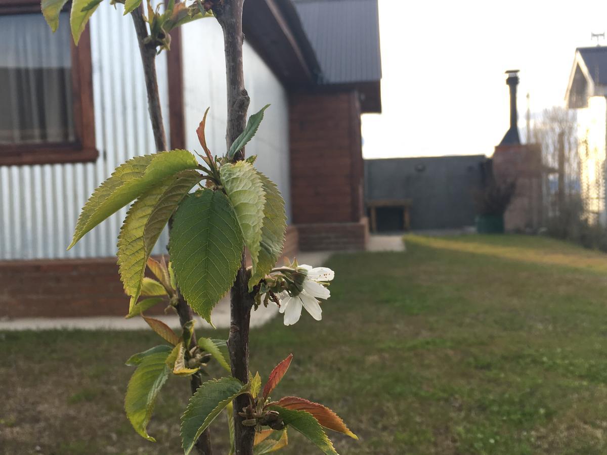 Casa Patagonica Los Frutales El Calafate Eksteriør bilde