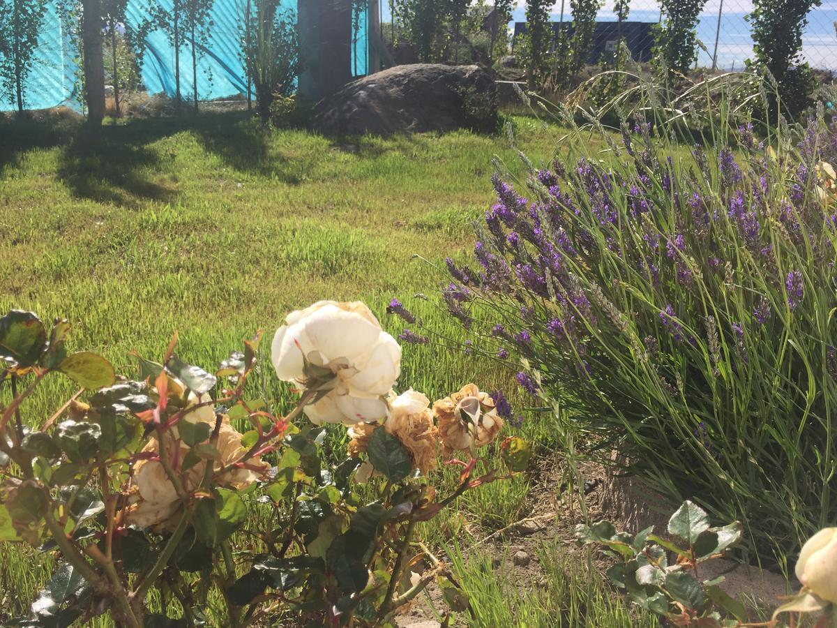 Casa Patagonica Los Frutales El Calafate Eksteriør bilde